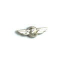 Wing Pin Boeing 777 silver