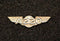 Wing Pin Airbus A220 Gold